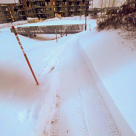 Déneigement entrée